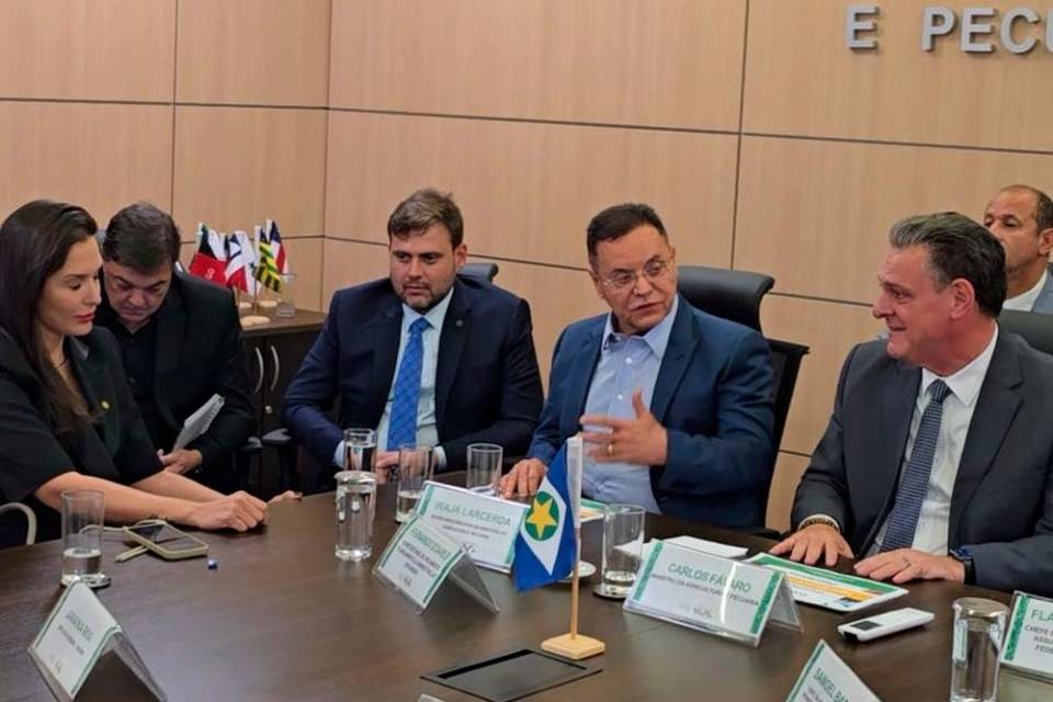 Em Brasília, Botelho reforça apoio do Mapa à agricultura familiar de MT