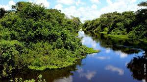 Estudo internacional mostra que Pantanal perde área e está mais seco