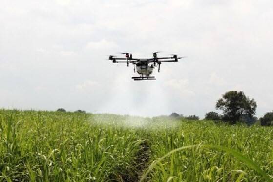 MPF abre inquérito para investigar contaminação por agrotóxicos em Jaciara 