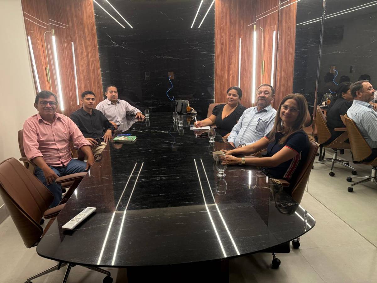 Prefeita Margareth e vereadores protocolam documento na Energisa em busca de soluções para Barão de Melgaço