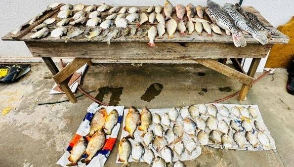Policiais apreendem 47 quilos de pescado irregular na região do Pantanal