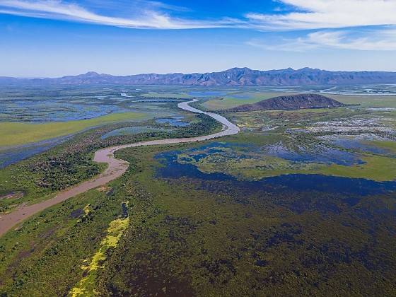 Artistas e Sociedade Civil pedem prioridade às áreas úmidas na agenda climática