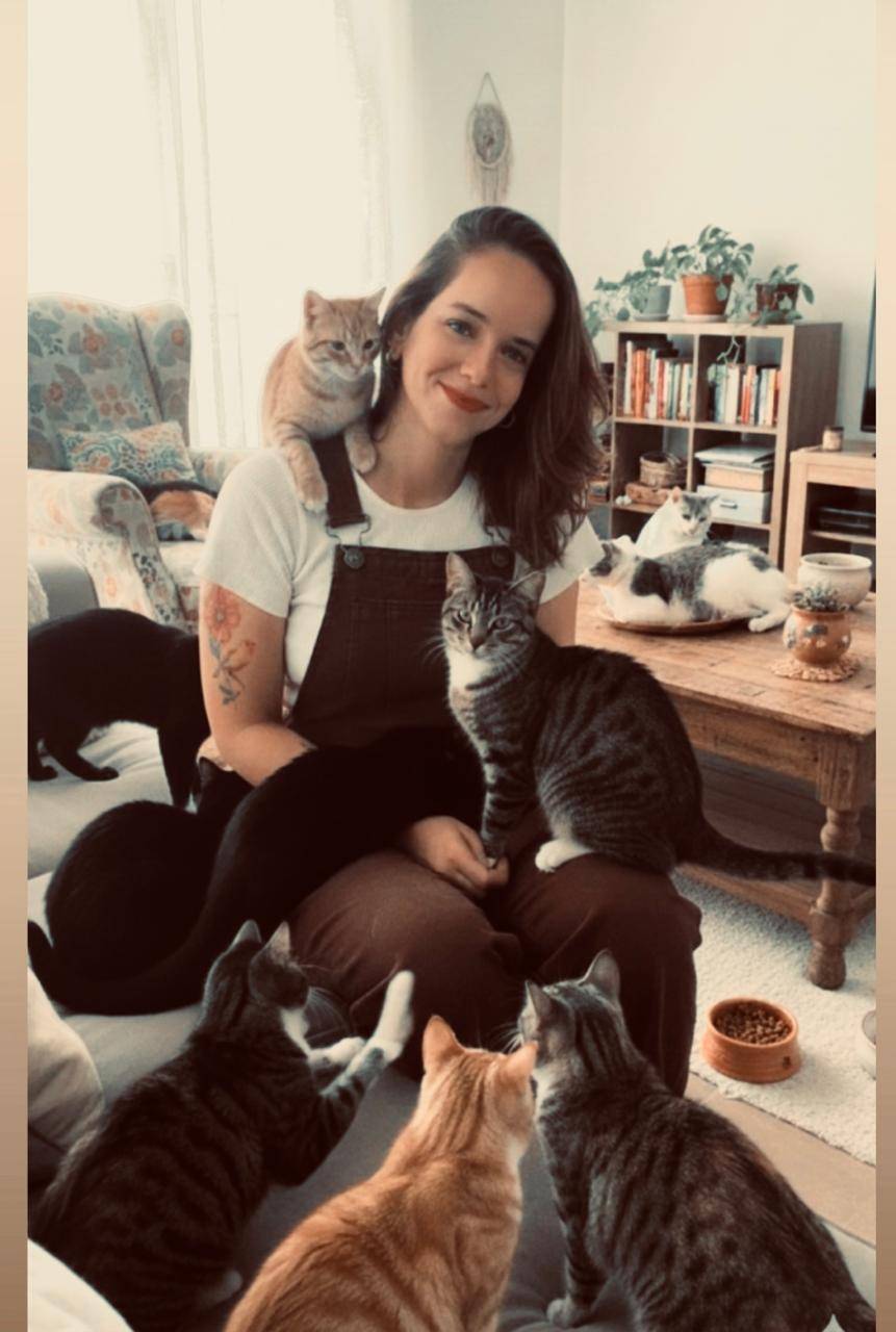 Bazar solidário mobiliza comunidade para ajudar animais resgatados em Cuiabá