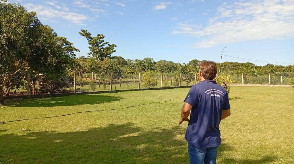 Mapa confirma caso de gripe aviária em Acorizal; equipes do Indea atuam para conter foco