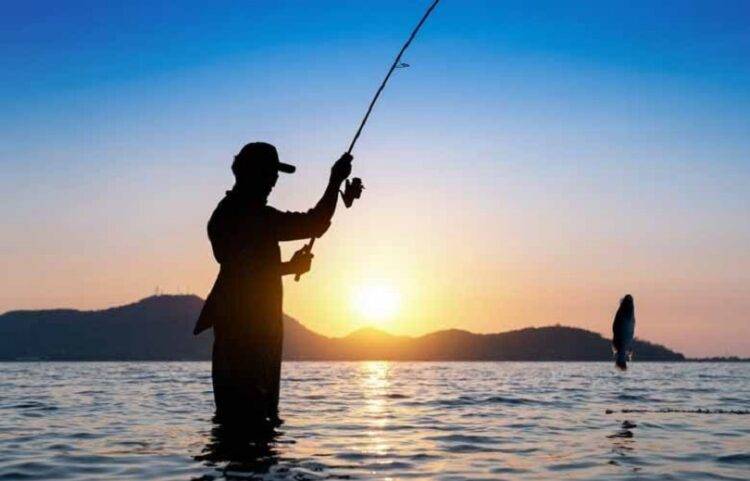 Lei que proíbe pesca em MT não tem base científica e pode custar R$ 187 milhões ao ano
