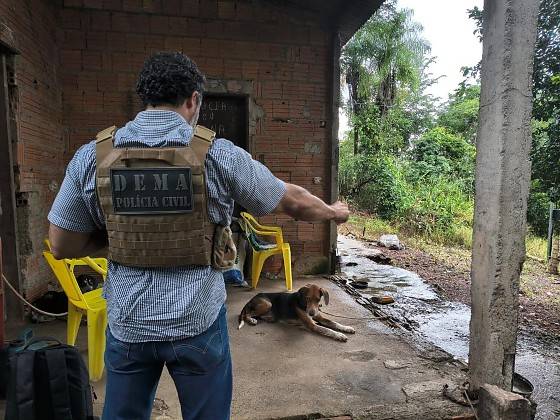 Estuprador monitorado por tornozeleira é flagrado abusando de cachorro em Santo Antônio de Leverger