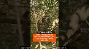 Homem flagrado em pesca predatória no Rio Cuiabá tenta fugir de policiais a nado e acaba preso;<span class=