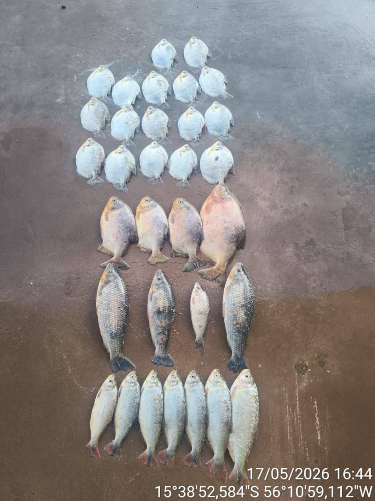 Batalhão Ambiental da PM prende homem com 13 quilos de pescado ilegal 