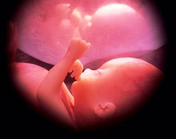 Aumenta a rejeição ao aborto no Brasil 