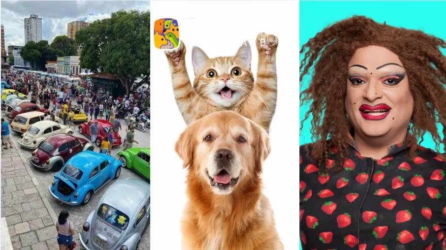 De exposição de pets a carros antigos: confira a agenda badalada do fim de semana em Cuiabá