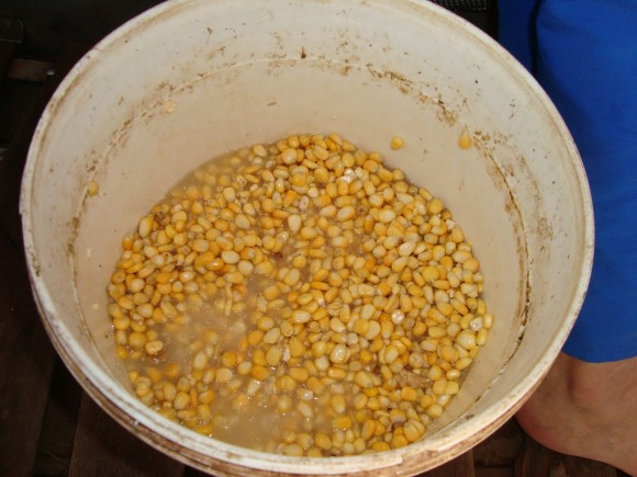 Santo Antônio é alvo de fiscalização da SEMA nesta terça e quarta   