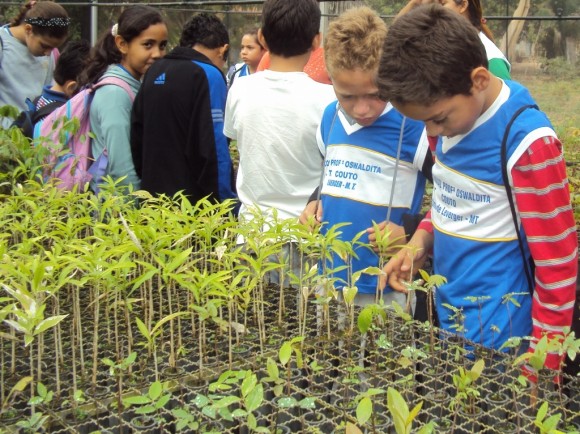 Alunos da Osvaldita do Couto visitam viveiro no Barranco Alto
