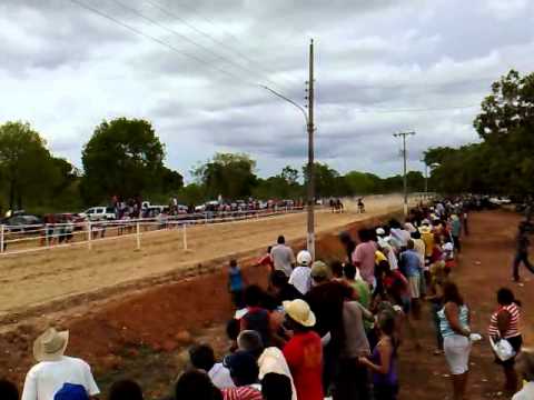 Animal e jockey sofrem grave acidente em corrida, animal foi sacrificado