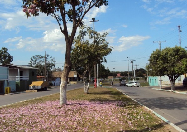 Tapete de flores nas avenidas de Santo Antônio