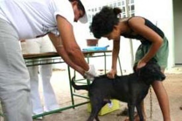 Sbado, 12 de setembro,  o Dia D da Vacinao Anti-Rbica