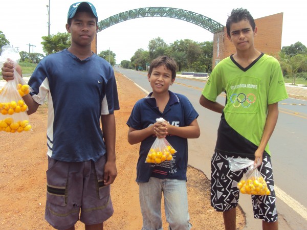 Jovens aumentam a renda familiar com o comércio do pequi