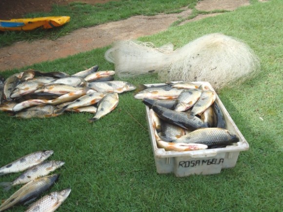 Policiais da 3ª CIPM apreendem pescado irregular em Sto Antônio