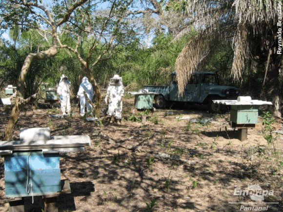 Biólogo santo-antoniense participa de projeto inédito no Pantanal