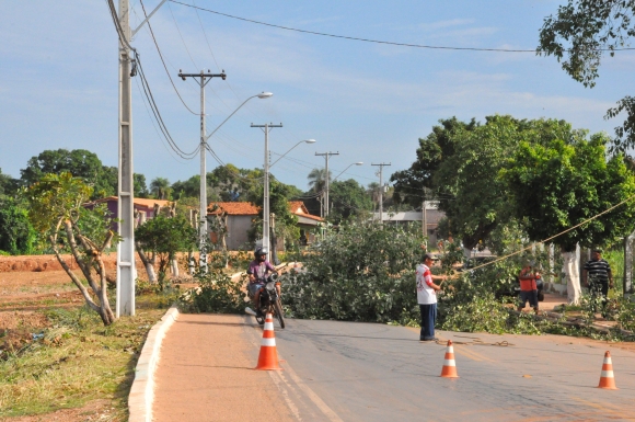 Secretaria de obras corta árvores e revolta moradores de Santo Antônio