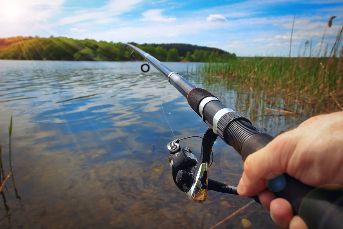 Cota zero para pesca nos rios de Mato Grosso será discutida em audiência pública na ALMT