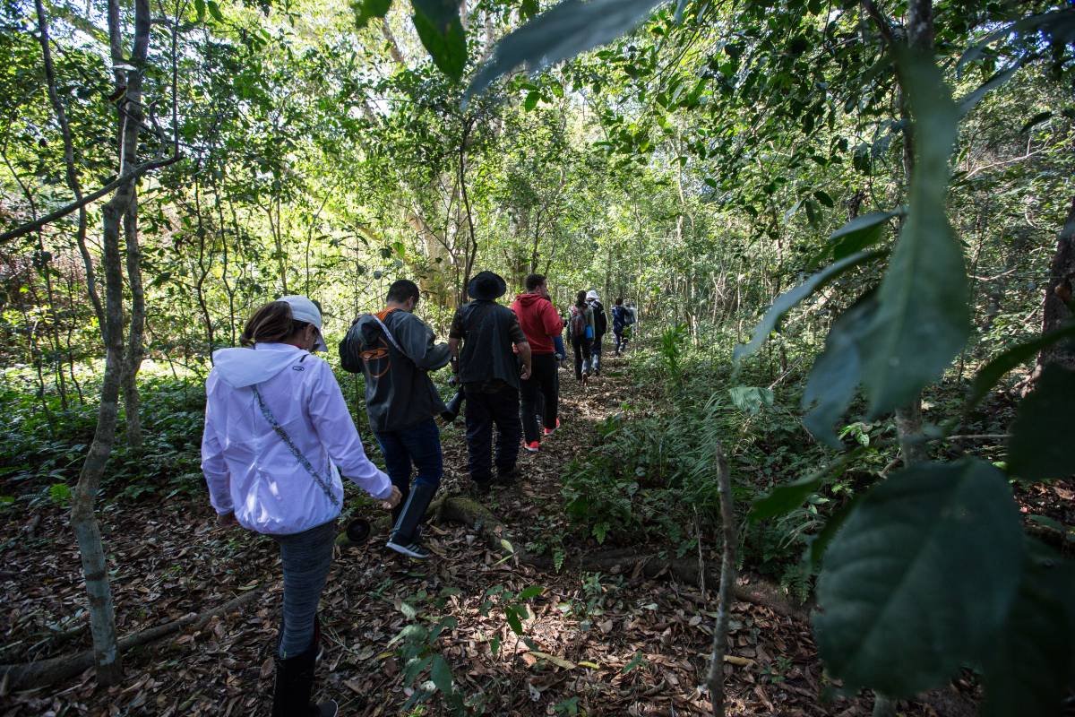 Reserva Natural em Barão de Melgaço é a maior do país com o total de 108 mil hectares, e terá trilhas para hóspedes do Hotel Sesc Porto Cercado