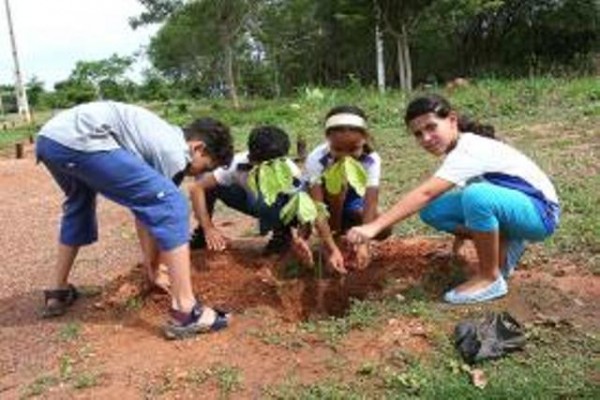 Empaer entrega mudas de espécies nativas para alunos em Leverger 