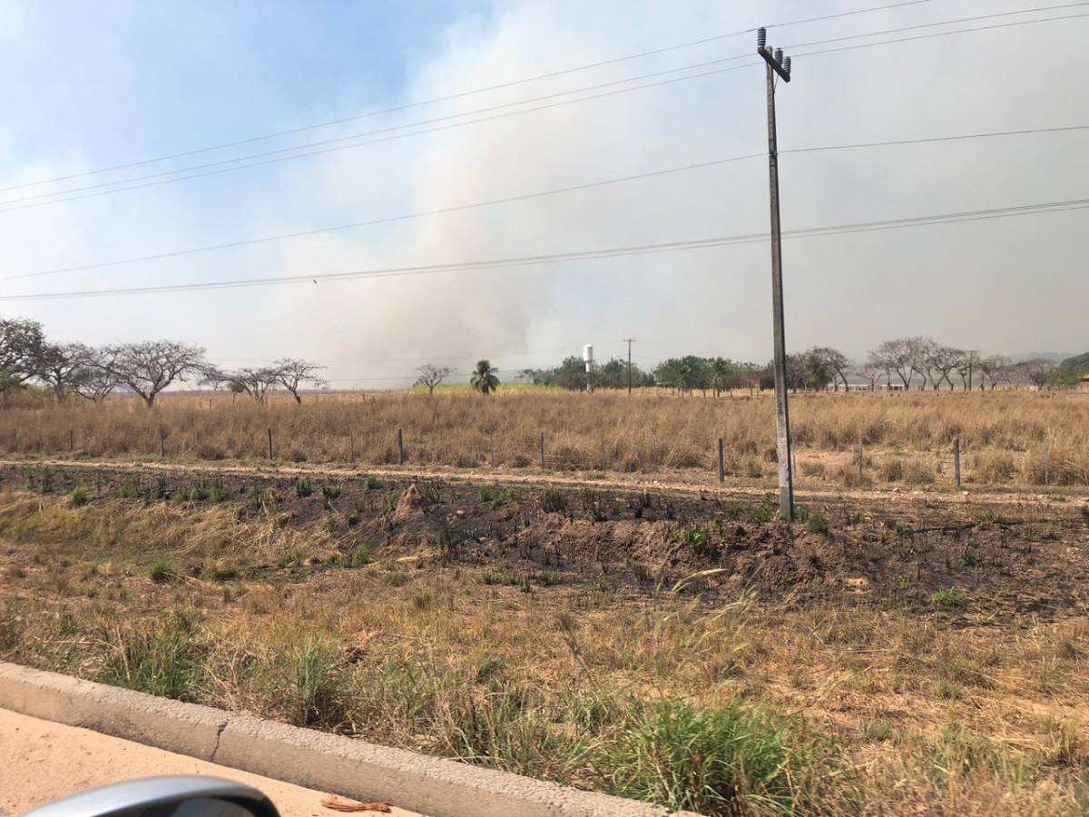 Incêndio se alastra rápido e quase atinge residência as margens da rodovia Palmiro Paes de Barros 
