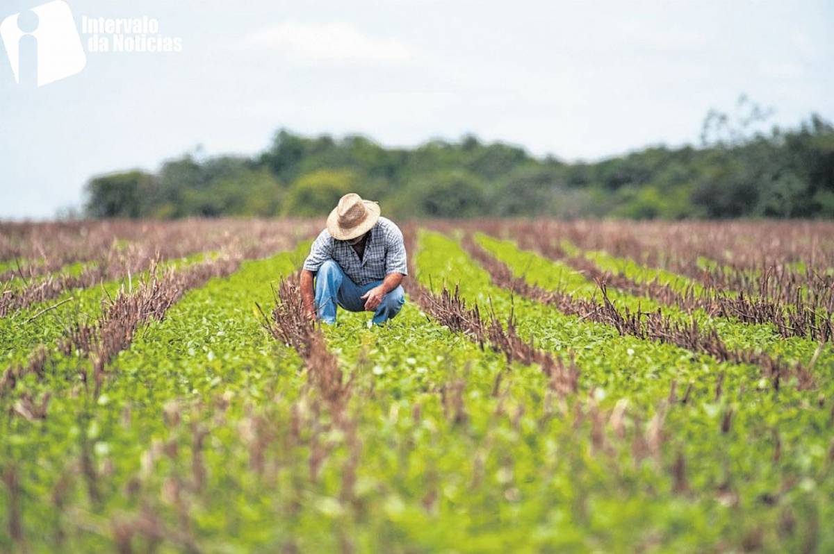 Declaração do Imposto Rural começa nesta segunda-feira