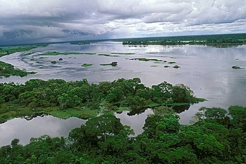 PANTANAL - Áreas úmidas sofrem com desmatamento e lançamento de efluentes