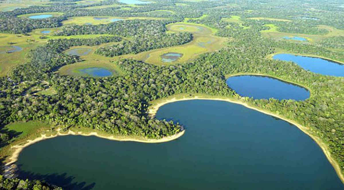 Prêmio Reserva da Biosfera do Pantanal está com inscrições abertas