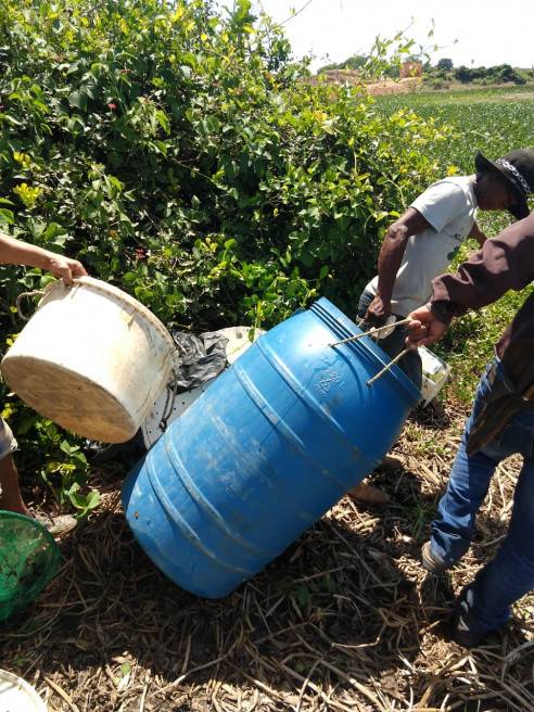 Irritado, empresário denuncia pesca ilegal no Pantanal e tenta salvar pescado - vídeo