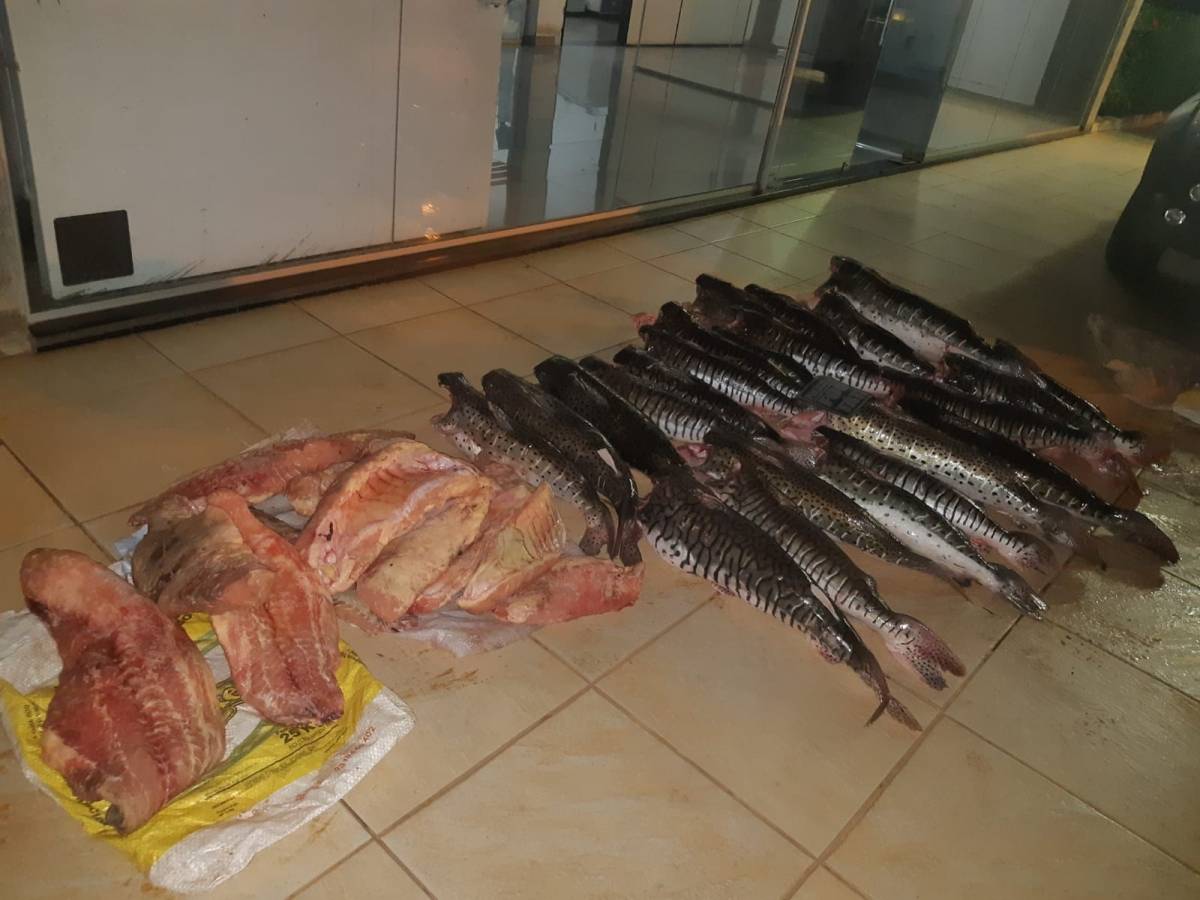 Motorista atira contra policiais e abandona carro com 180 kg de pescado irregular 