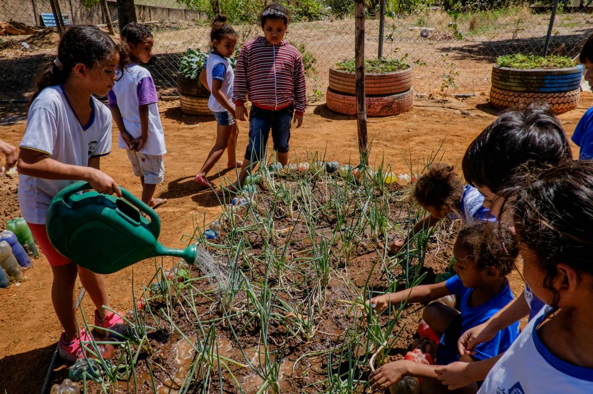 Escolas de Leverger, Barão de Melgaço e outras de MT estão entre as que receberão até R$ 5 mil para hortas escolares