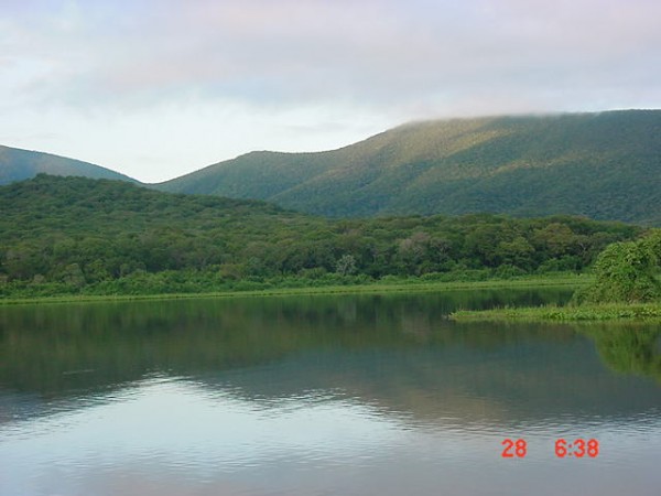MP prop�e a��o para garantir recupera��o de 'corixo' no pantanal                            