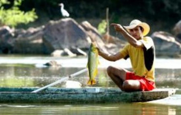 Pescadores profissionais já podem declarar seus estoques