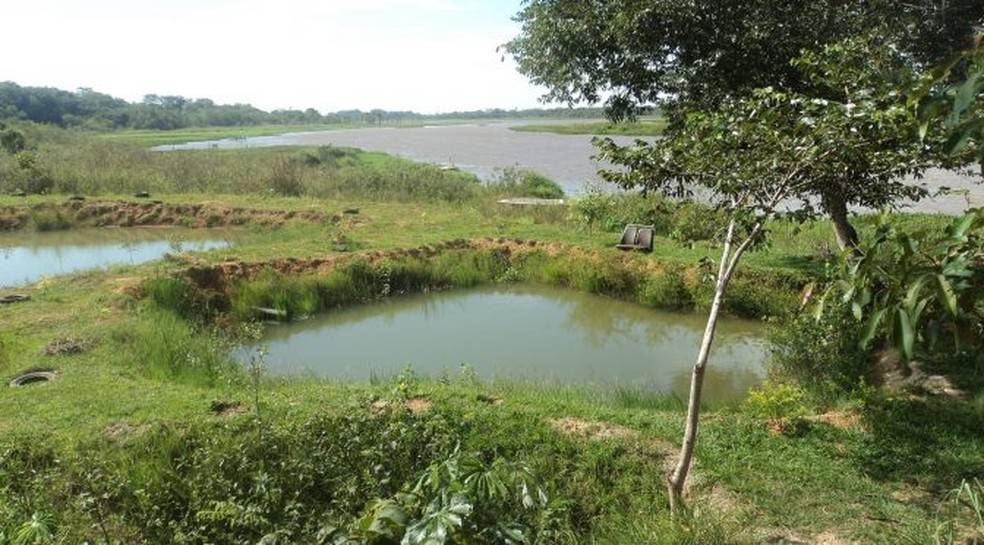 MT passa exigir licença ambiental de pequenos criadores de peixes