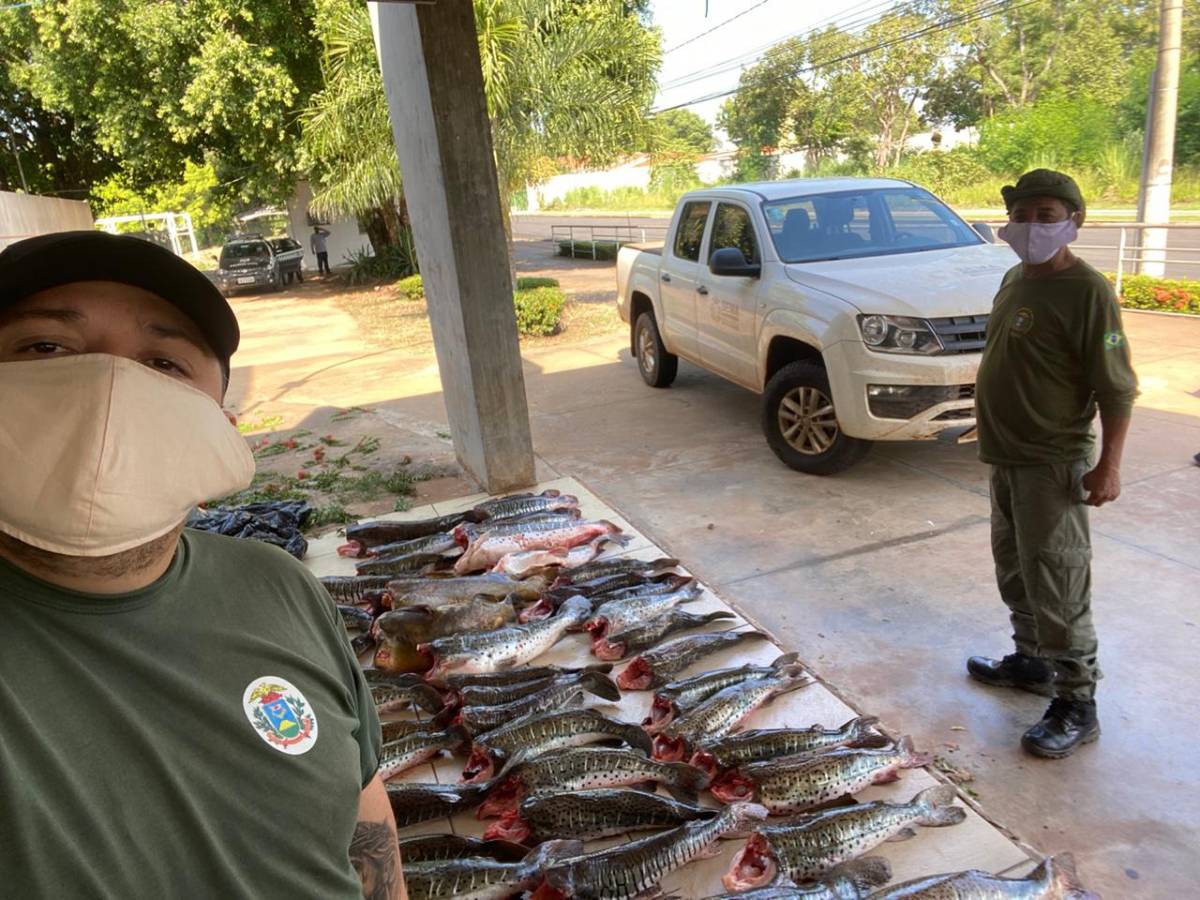 Sema apreende 260 quilos de pescado ilegal em Barão de Melgaço