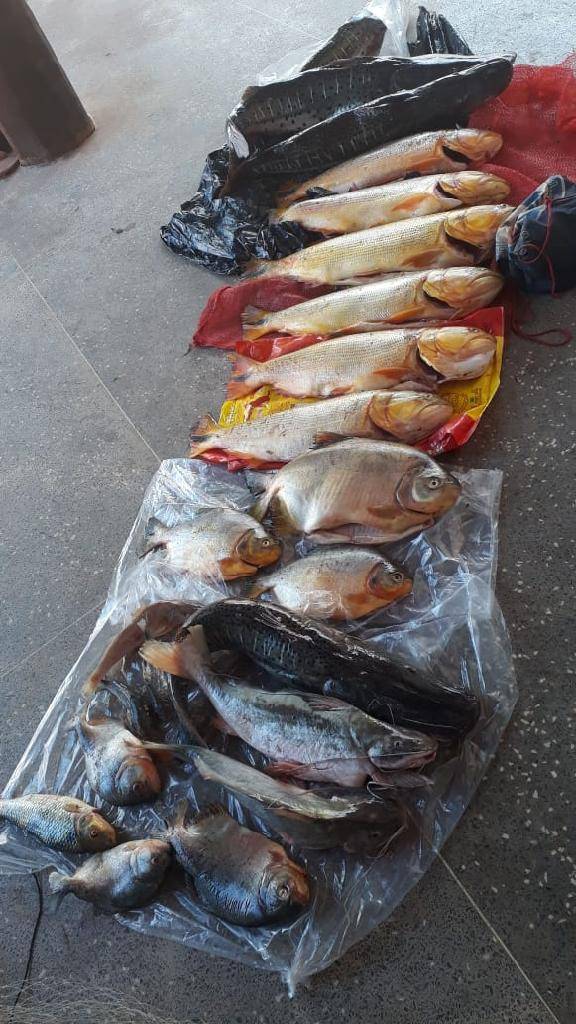 Sema e PM apreendem 57 kg de pescado em Santo Antônio de Leverger