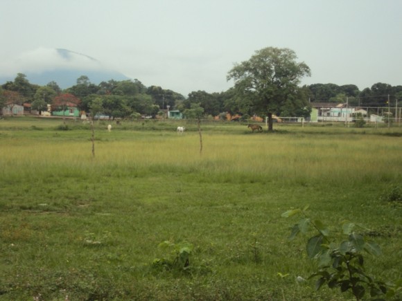 NEY MACÁRIO INDICA LIMPEZA DA DRENAGEM NA VARGINHA