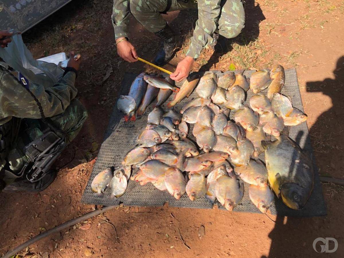Homem é multado em R$ 6,8 mil ao ser flagrado com 90 peixes em Poconé