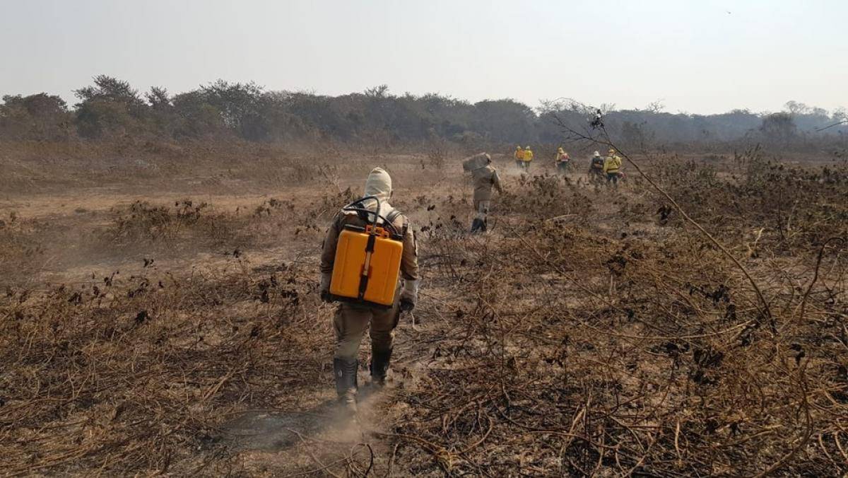 Incêndio no Pantanal atinge 40 mil hectares em Poconé