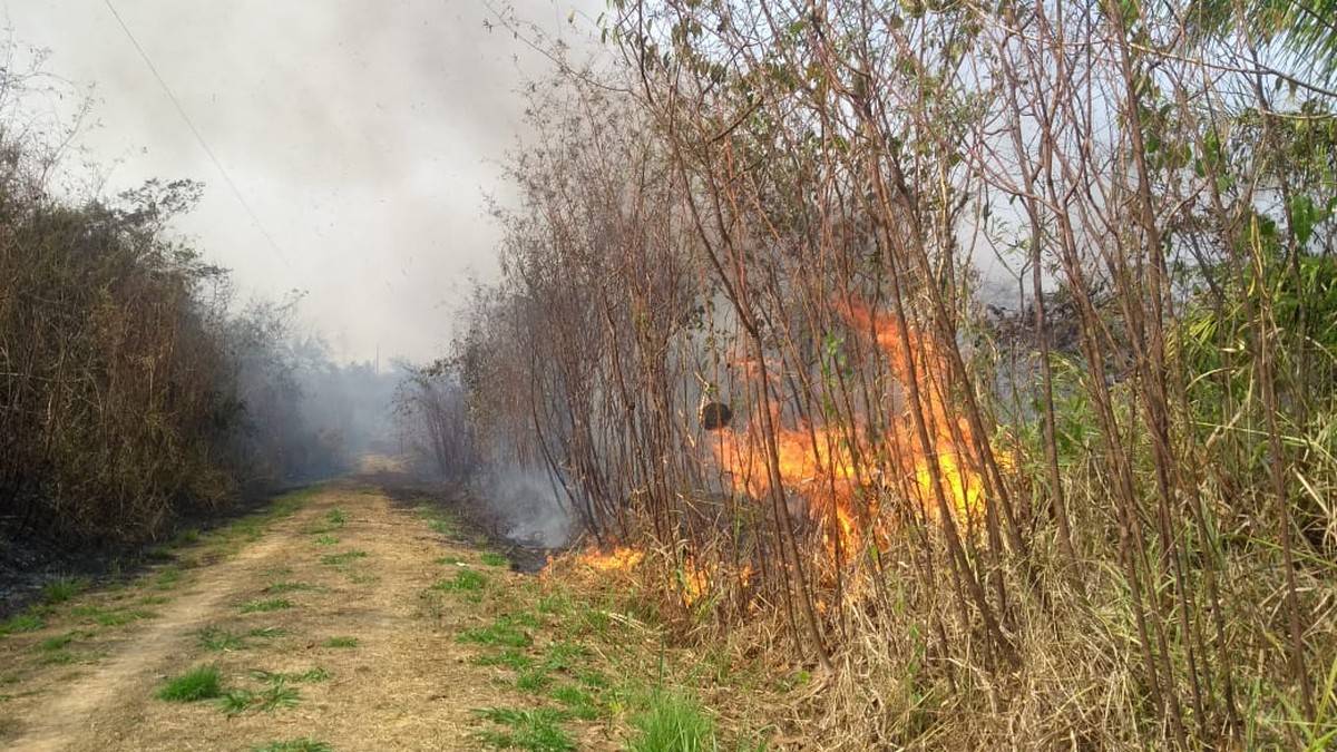 Prefeitura decreta situação de emergência devido ao grande número de queimadas