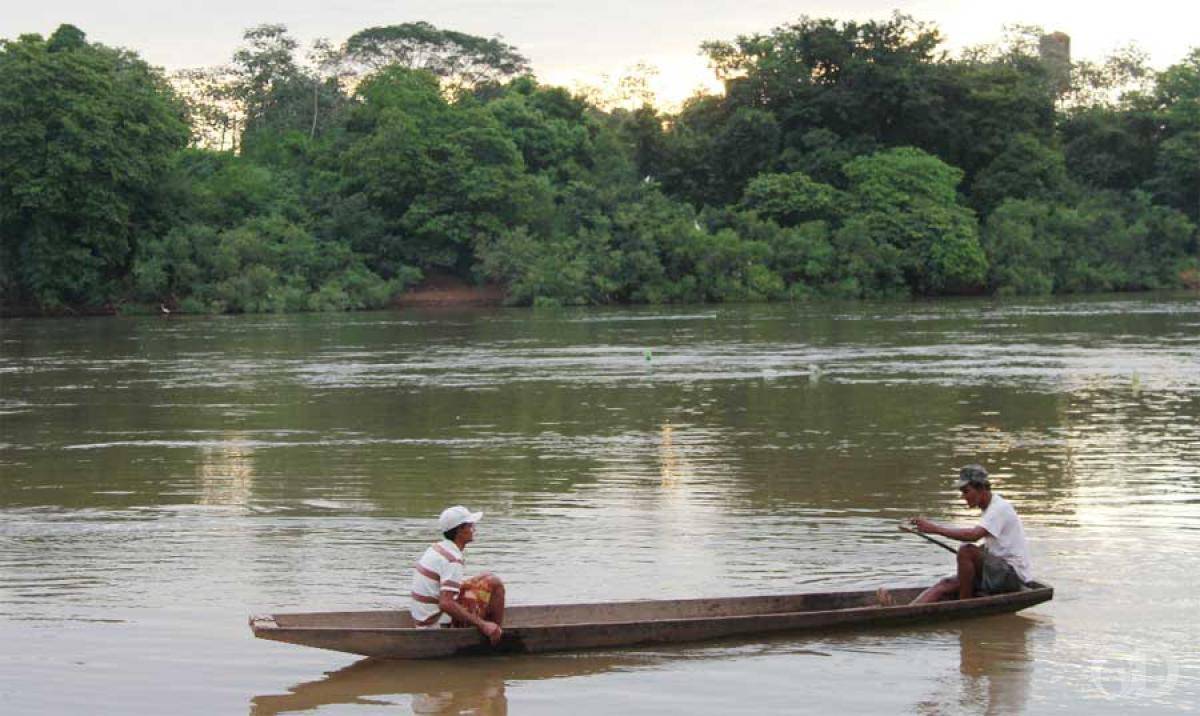Petição Pública defende a manutenção da proibição da pesca do Dourado