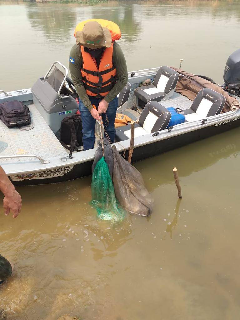 Dono de pousada e pescadores são presos por pesca predatória