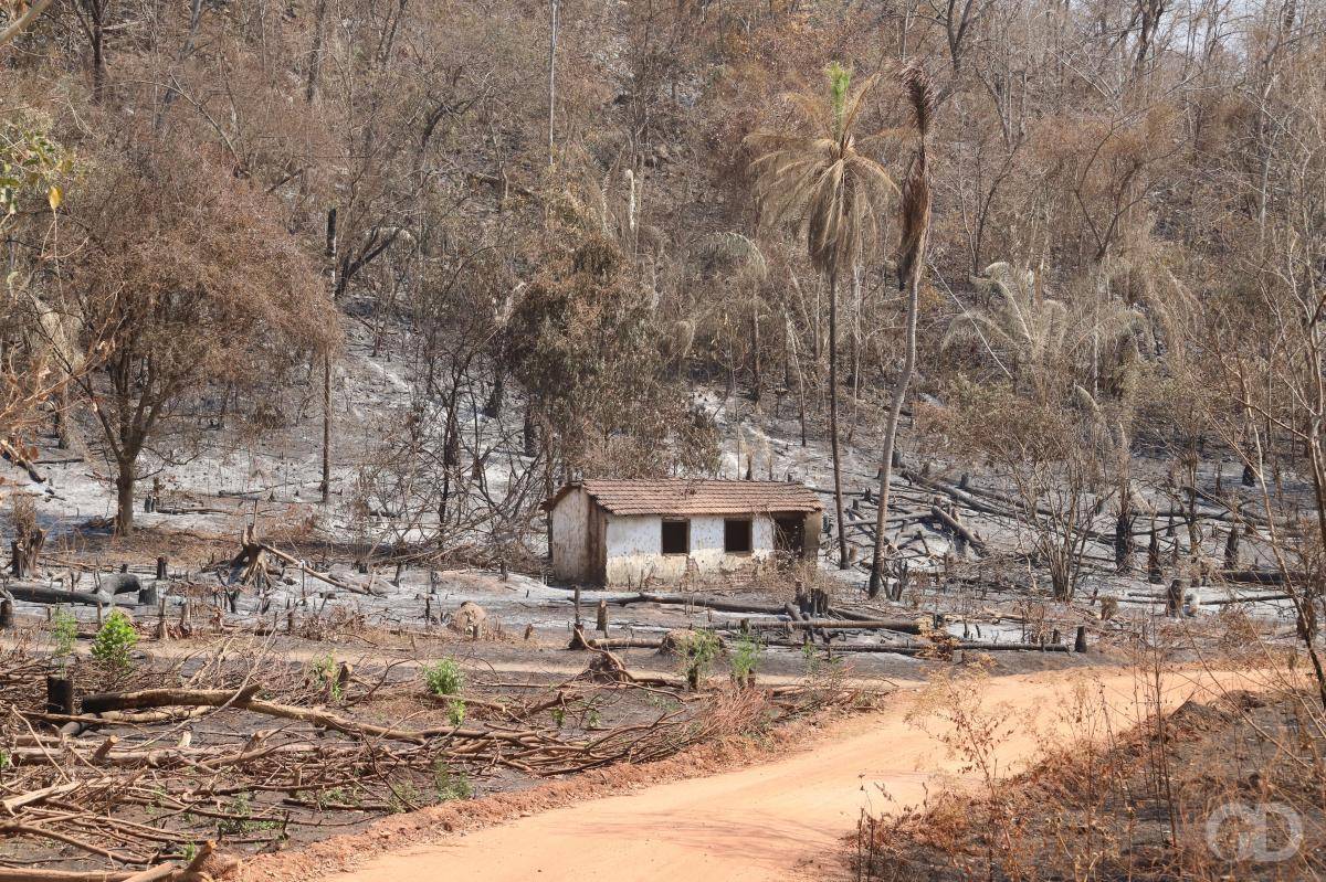 Chamas deixam rastro de destruição na região pantaneira de Barão 