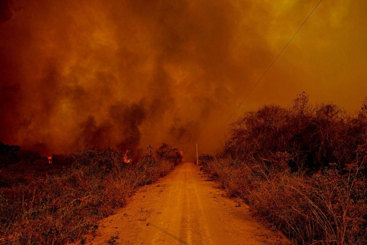 Fogo no Pantanal entra na pauta do Congresso Nacional; parlamentares visitam Poconé