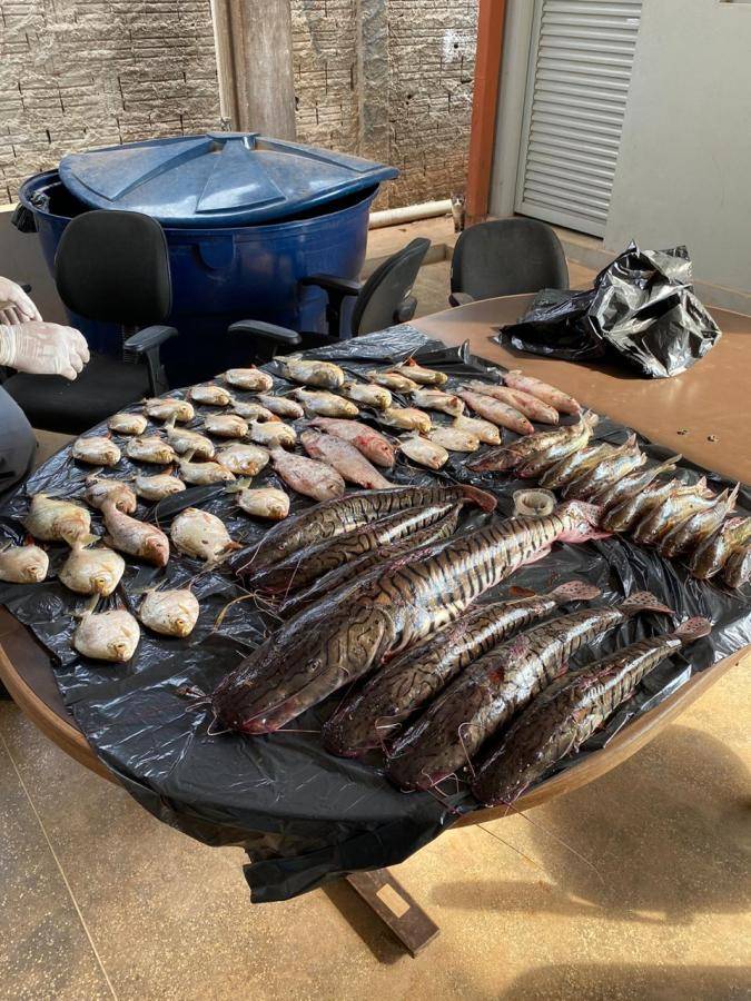 Homem usa tarrafas e redes para pescar, é flagrado com 55 peixes e acaba preso em Poconé