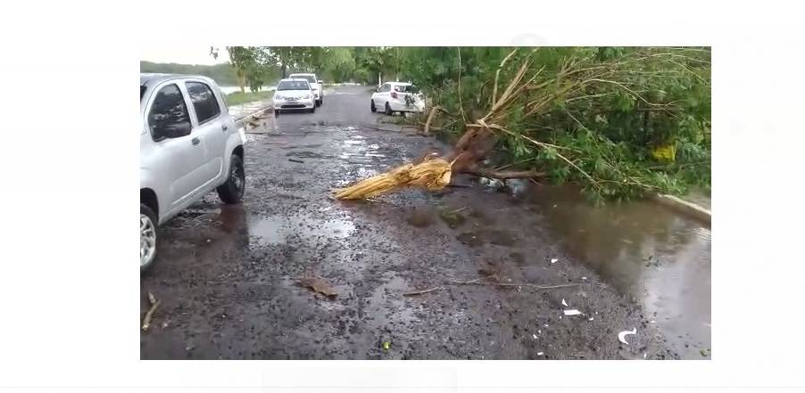 Chuva e ventos fortes causam prejuízos para comerciantes e turistas em Leverger 