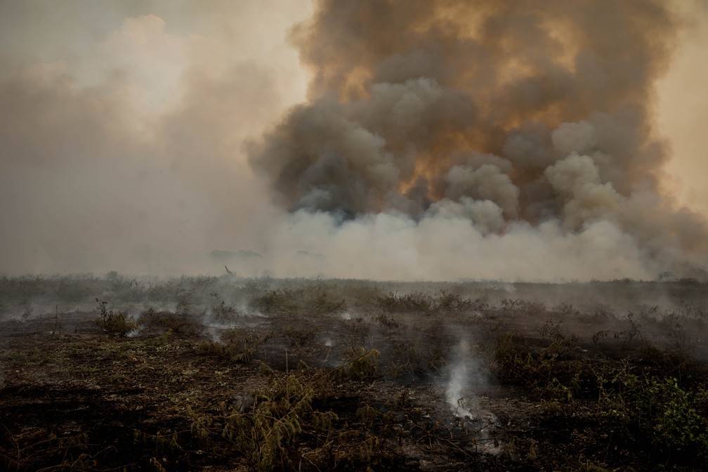 Maioria dos incêndios no Pantanal teve participação humana, diz relatório