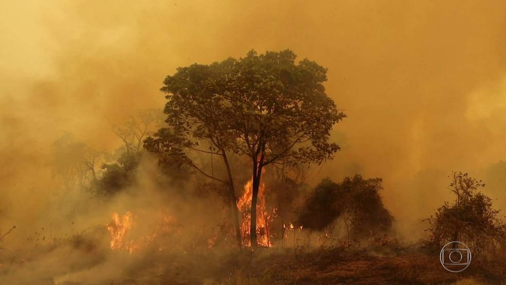 Polícia faz operação que apura incêndios criminosos no Pantanal e na Baixada Cuiabana